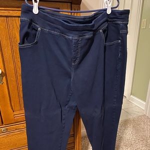Terra and sky pull on jeggings size 2x